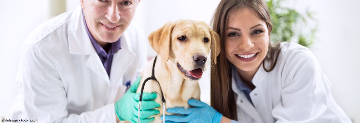 Tiermedizinischer Fachangestellter (m/w/d)